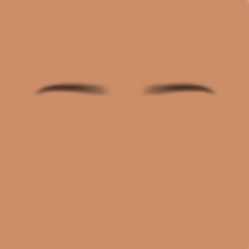 Custom Eyebrows 030