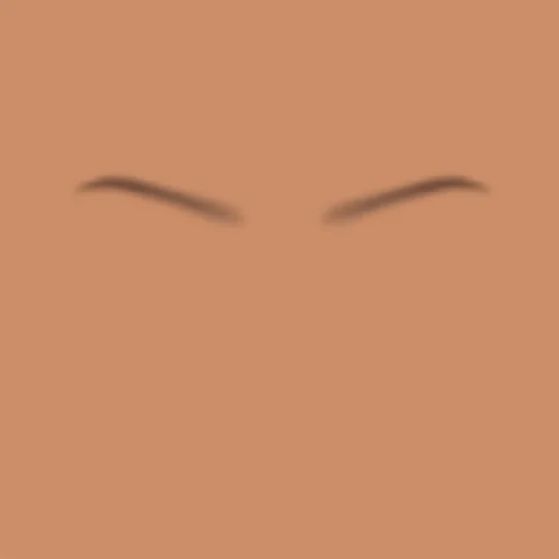 Custom Eyebrows 031