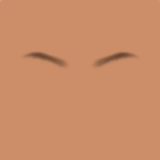 Custom Eyebrows 032