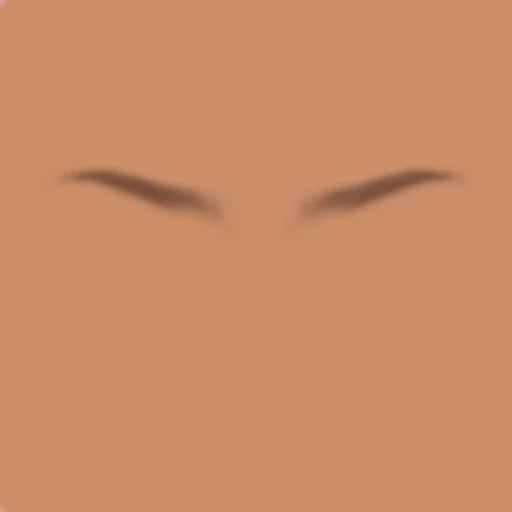 Custom Eyebrows 033