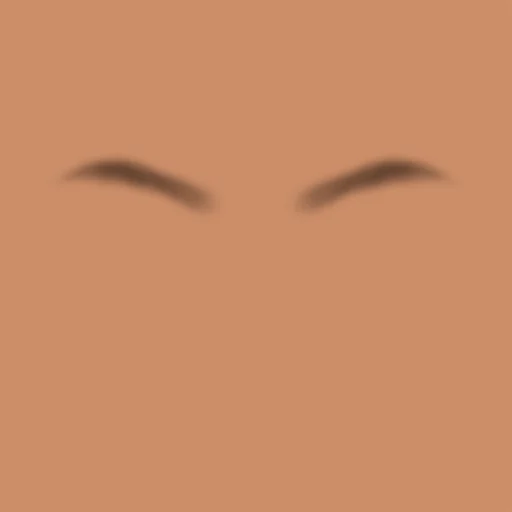 Custom Eyebrows 034