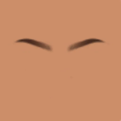 Custom Eyebrows 035
