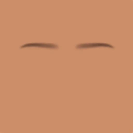 Custom Eyebrows 036