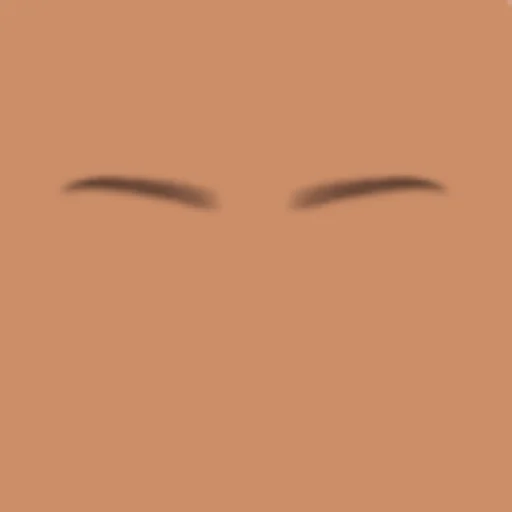 Custom Eyebrows 037