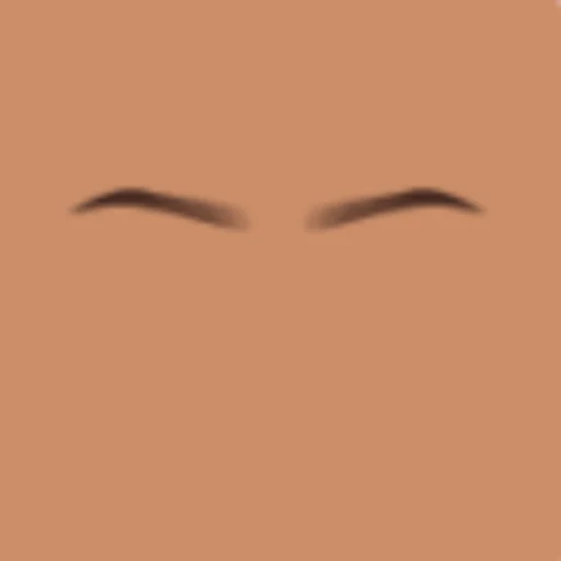 Custom Eyebrows 038