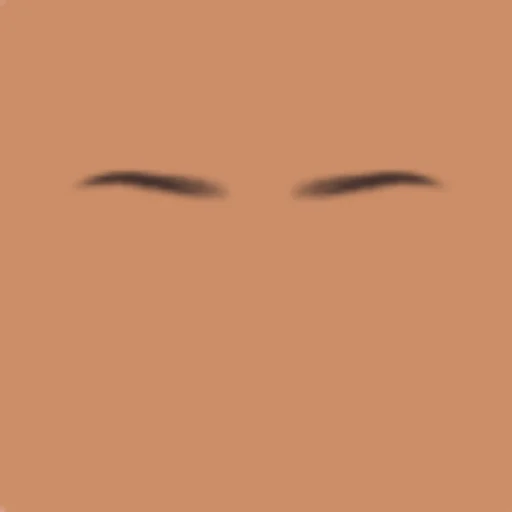 Custom Eyebrows 039
