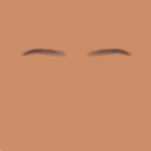 Custom Eyebrows 040