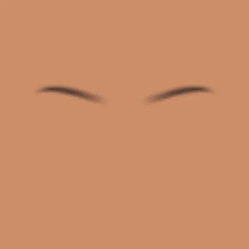 Custom Eyebrows 041