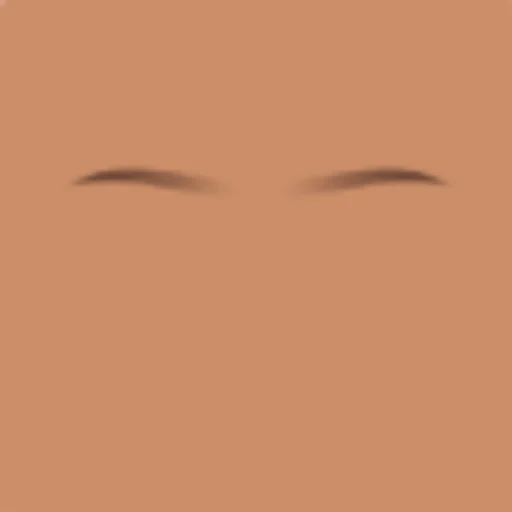 Custom Eyebrows 042