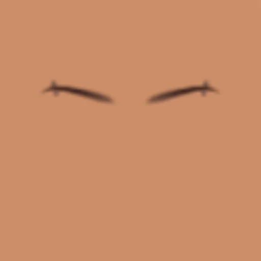 Custom Eyebrows 043