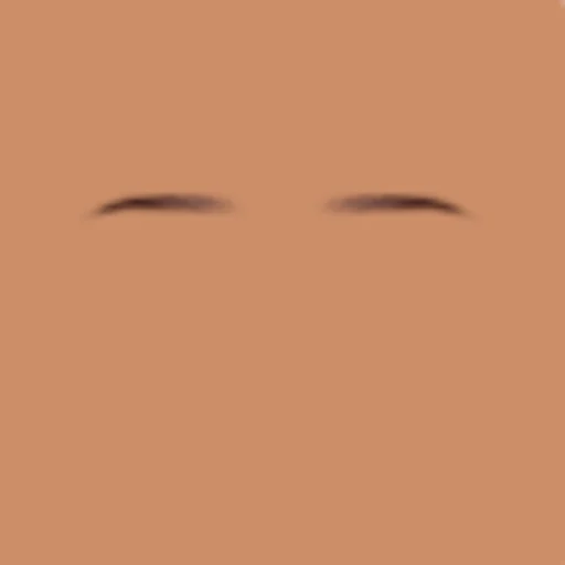 Custom Eyebrows 044