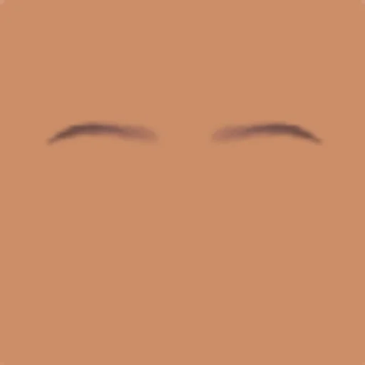 Custom Eyebrows 045
