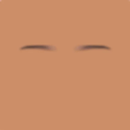 Custom Eyebrows 046