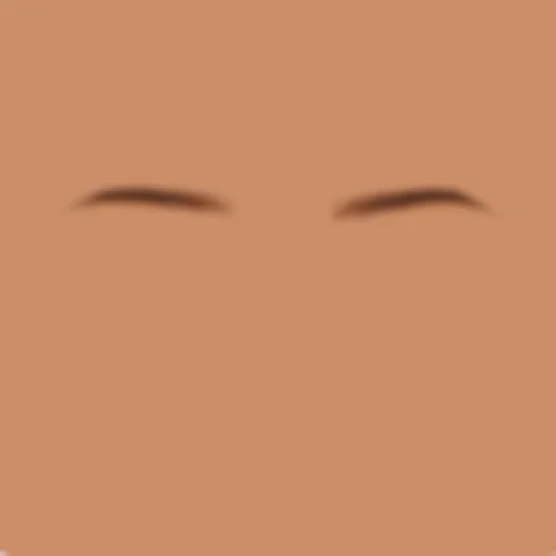 Custom Eyebrows 047