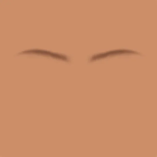 Custom Eyebrows 048