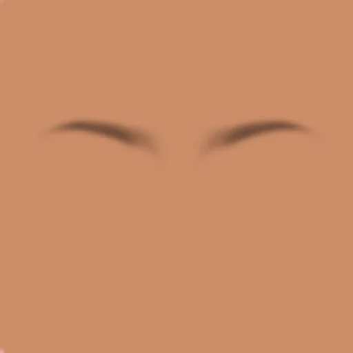 Custom Eyebrows 049