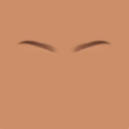 Custom Eyebrows 050