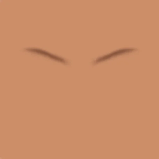 Custom Eyebrows 051