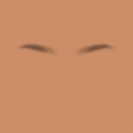 Custom Eyebrows 052