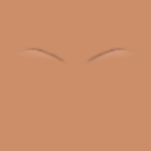 Custom Eyebrows 053