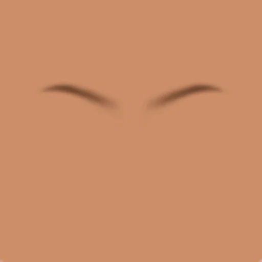 Custom Eyebrows 054