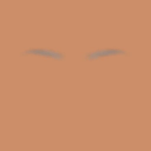 Custom Eyebrows 056