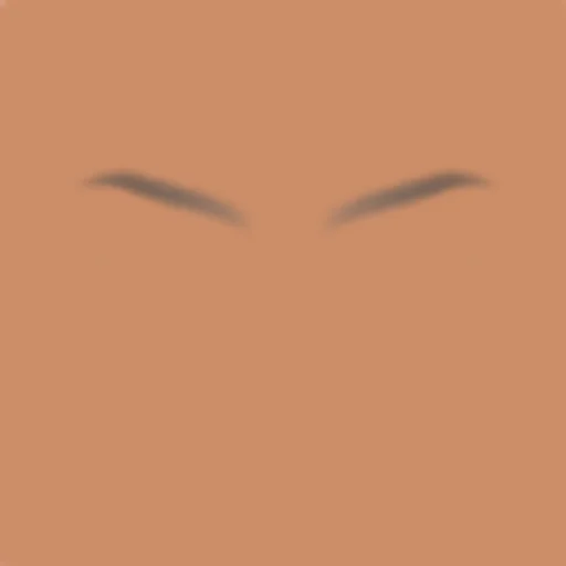 Custom Eyebrows 057