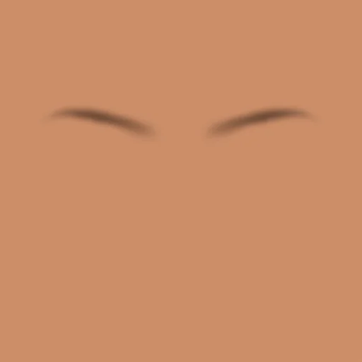 Custom Eyebrows 058