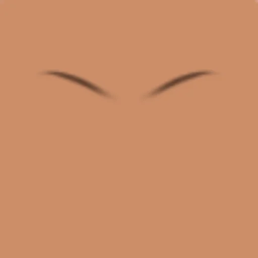 Custom Eyebrows 059