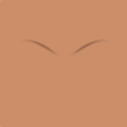 Custom Eyebrows 060