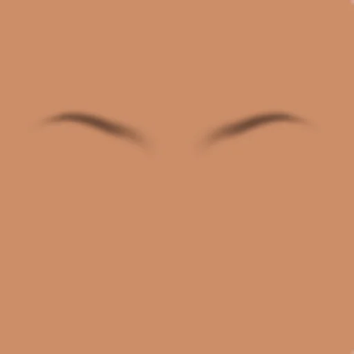 Custom Eyebrows 061