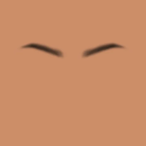 Custom Eyebrows 062
