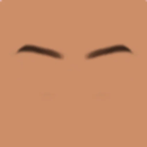 Custom Eyebrows 063