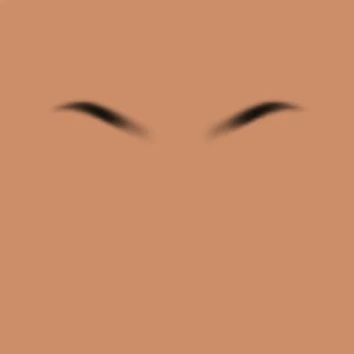 Custom Eyebrows 064