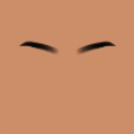 Custom Eyebrows 065