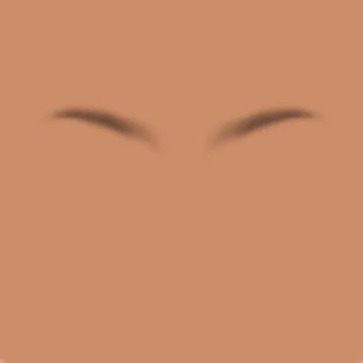 Custom Eyebrows 066