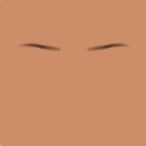 Custom Eyebrows 067