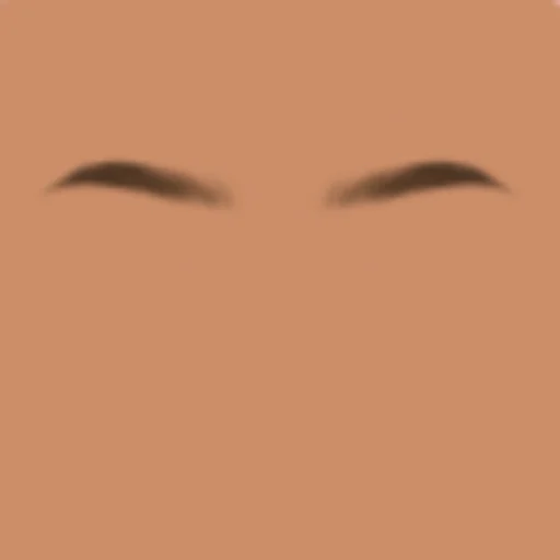 Custom Eyebrows 068