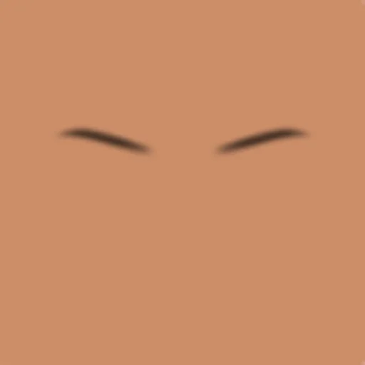 Custom Eyebrows 069