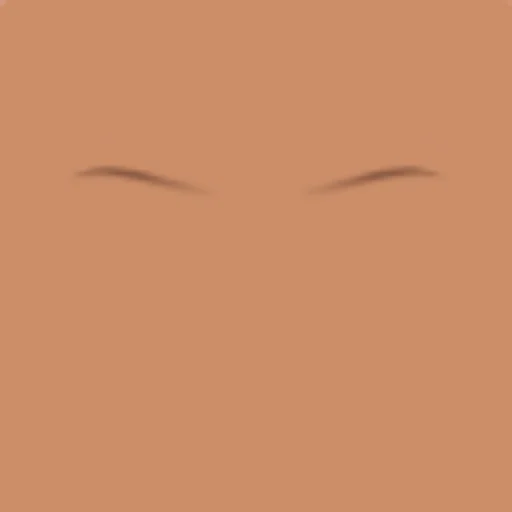 Custom Eyebrows 070
