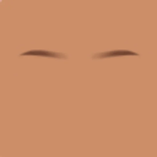 Custom Eyebrows 071