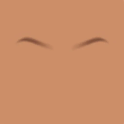 Custom Eyebrows 072
