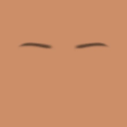 Custom Eyebrows 073