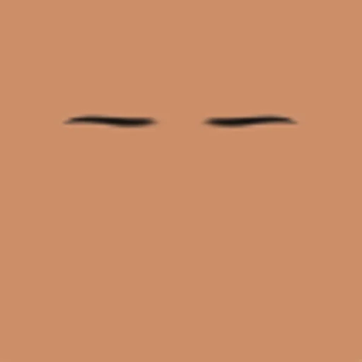 Custom Eyebrows 074