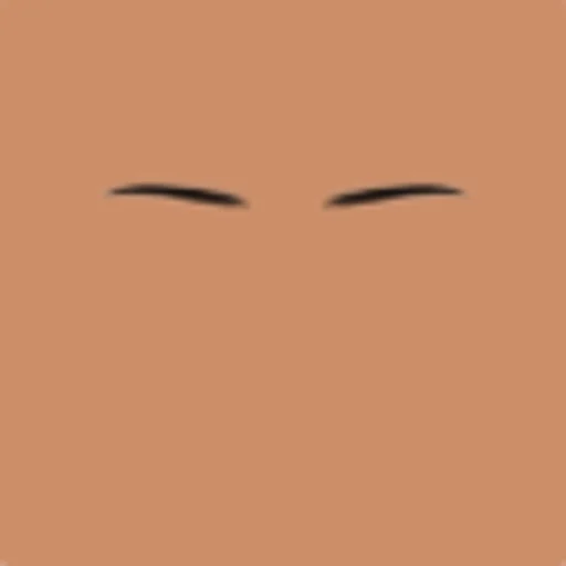 Custom Eyebrows 075