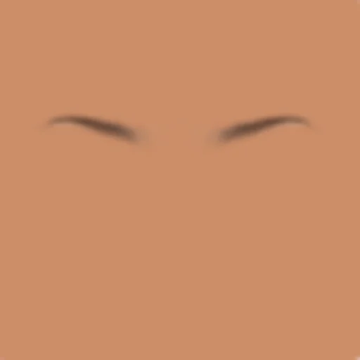 Custom Eyebrows 076