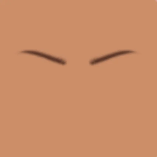 Custom Eyebrows 077