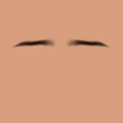 Custom Eyebrows 078