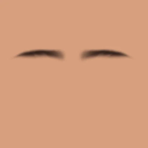 Custom Eyebrows 079
