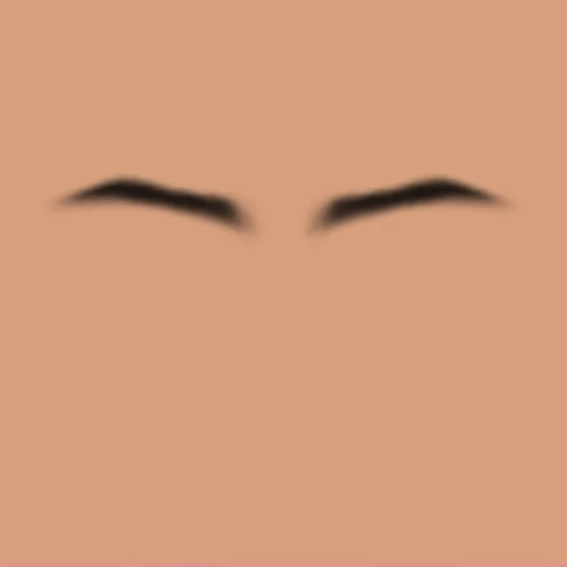 Custom Eyebrows 080